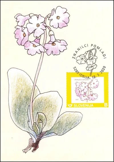 ZNANILCI POMLADI